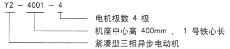 Y2系列三相異步電機技術(shù)參數(shù)——西安泰富西瑪電機（西安西瑪電機集團股份有限公司）官方網(wǎng)站